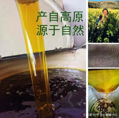 金色門源 北方最大的油菜花海與中國菜籽油之鄉(xiāng)