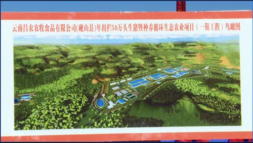硯山縣年出欄50萬(wàn)頭優(yōu)質(zhì)肉豬項(xiàng)目一期開工