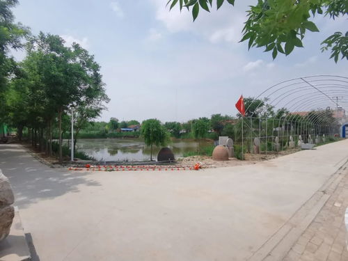 億源三農生態雞蛋,原生態環境養殖,口感鮮嫩,蛋香十足 營養