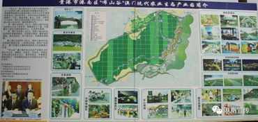劉東慶到港南區(qū)調(diào)研指導富硒農(nóng)業(yè)產(chǎn)業(yè)發(fā)展