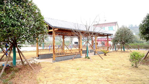 農家庭院美 村莊面貌新