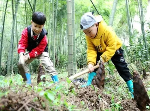 因為不知道這50個體驗項目,多少田園綜合體就這樣倒下了