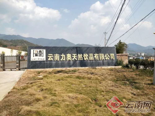 云南景東 黨建引領 龍頭帶動 助力脫貧攻堅
