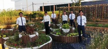 確認 蕪湖有個樓盤搞買房送田,讓你的 田園夢 變為現實