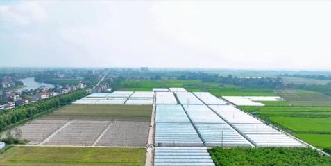 亞行項目湖北行·石首篇—農田高標準 糧食豐滿倉