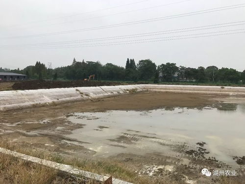 贊,贊,贊 全市11個農業大好高新項目通過認定