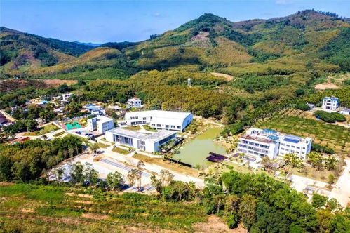 好消息 郴州將添兩個五星級鄉村旅游區 點