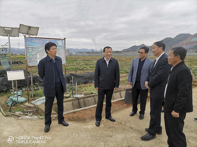李勝強赴陽新調研農墾春耕備耕和特色產業發展