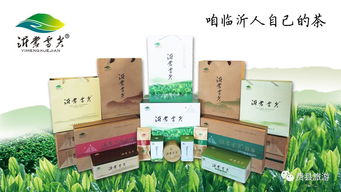 天蒙杯 首屆費縣導游講解大賽報名開始啦 附贊助單位簡介