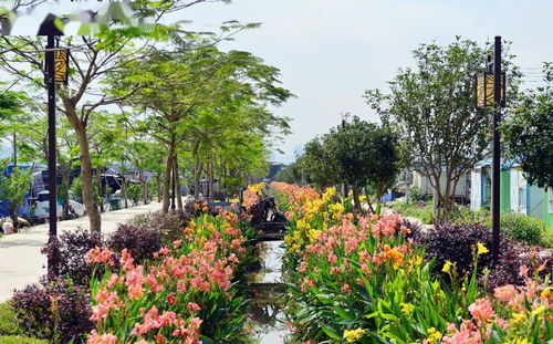 今天授牌開(kāi)園 中山這三個(gè)公園目測(cè)要火,你去過(guò)嗎
