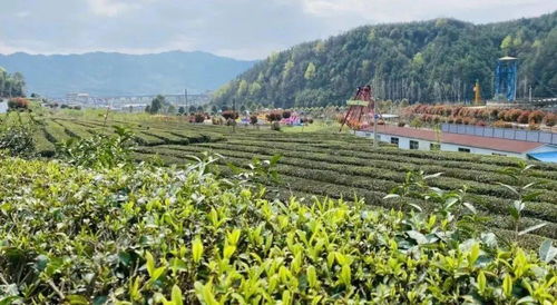 農業農村部 制定智慧農業相關補貼政策,加強智慧農業重點項目建設