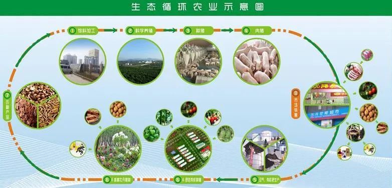 透視生態循環農業世界各國的發展模式