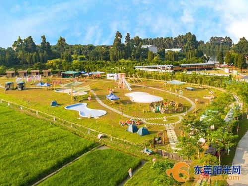 稻香滿滿 東莞這些美麗田園建設成果等你來打卡