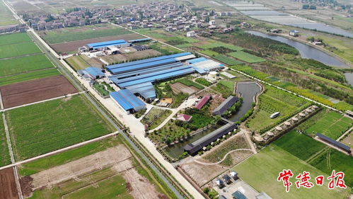首批國家農業產業強鎮名單公布 常德四鎮上榜