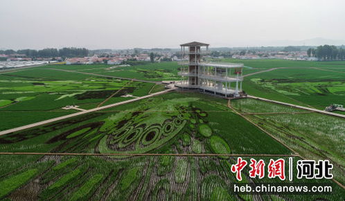 河北遵化 鄉(xiāng)村旅游促振興