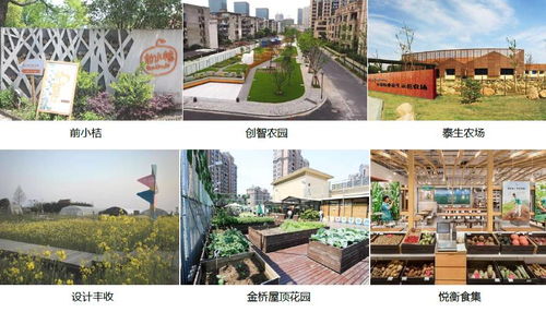 前小桔 創(chuàng)智農(nóng)園 泰生農(nóng)場(chǎng) 等六大經(jīng)典休閑農(nóng)業(yè)案例
