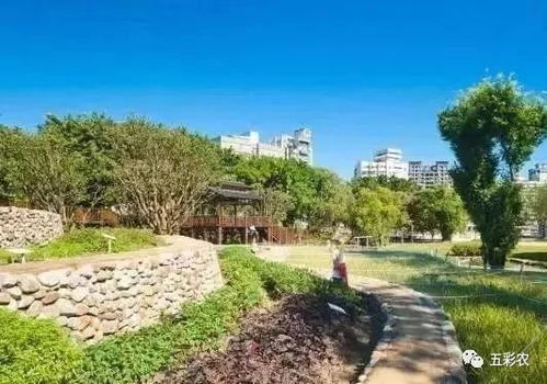 快看,現代農業賺錢的8種新模式 每一種都有大好 錢 途
