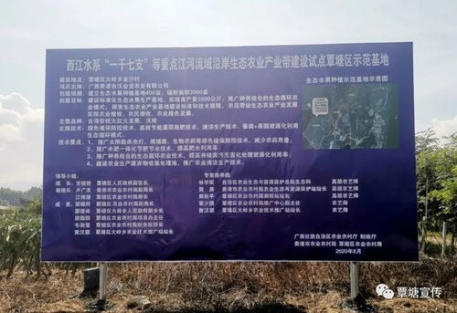 覃塘區發展生態農業,助力鄉村振興建設