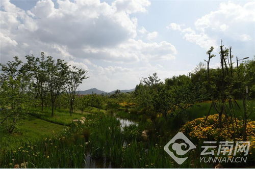 山水田園 城市發展的 昌寧路徑