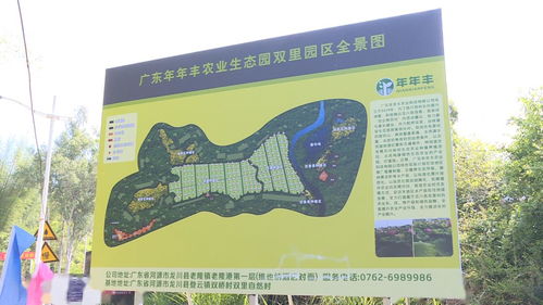 投資500萬元,龍川縣登云鎮大力發展生態農業 水海