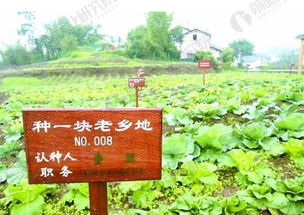 達(dá)州生態(tài)產(chǎn)業(yè)田園綜合體案例