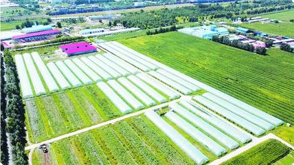 開發區:堡壘堅強 鄉村富美 凝心聚力譜新篇