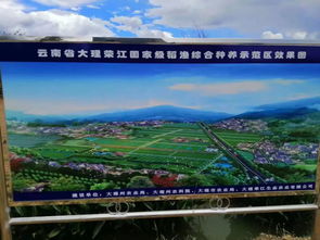 榮江農業采摘園開園慶典及品牌推廣會