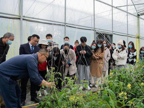 共敘閩臺情誼 兩岸青年在龍巖 話 出年味